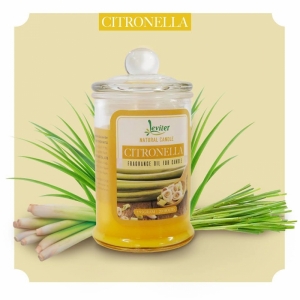 Nến thơm ly thủy tinh cao cấp Leviter tinh dầu sả citronella