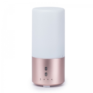Máy xông tinh dầu siêu âm ion Leviter 8307