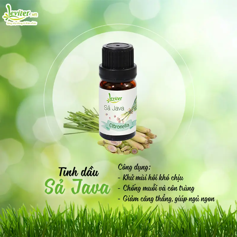 Tinh dầu Sả Java Leviter-10ml dùng để xông phòng, khử mùi, đuổi muỗi