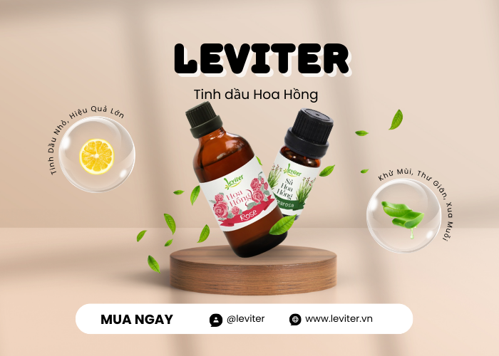 Leviter Rose Essential Oil – Một Giọt Lãng Mạn, Một Khoảnh Khắc Bình An