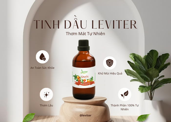 Tinh Dầu Quýt Leviter 100ml – Hương Tươi Mát, Bình Yên Cho Ngày Dài