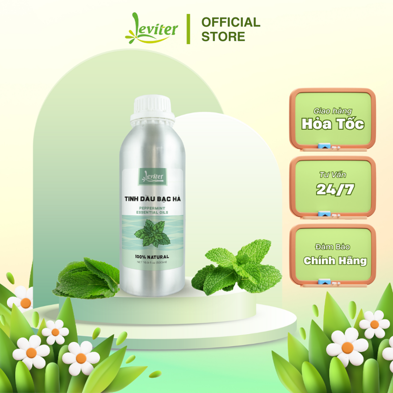 Tinh dầu Bạc Hà 500ml Leviter - Thư giãn, giảm stress, đuổi chuột, đuổi muỗi, khử mùi