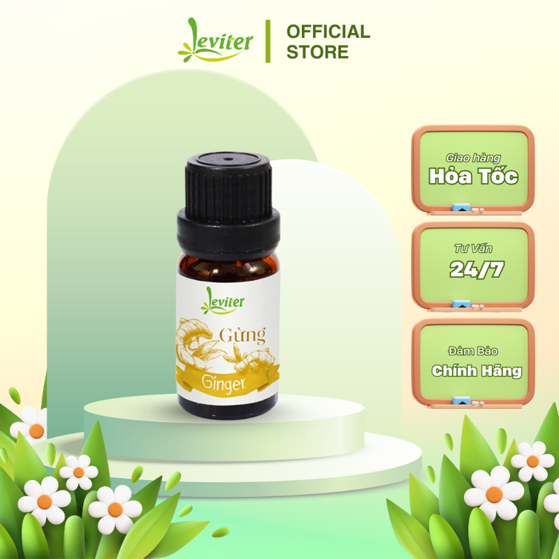 Tinh dầu Leviter Gừng 10ml - 100ml khử mùi, làm thơm